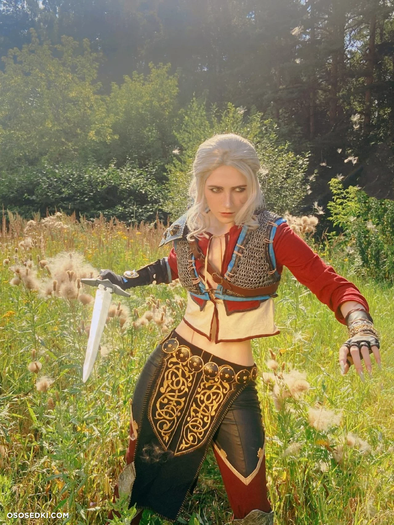 Ciri (MikAllen) Ciri (MikAllen)