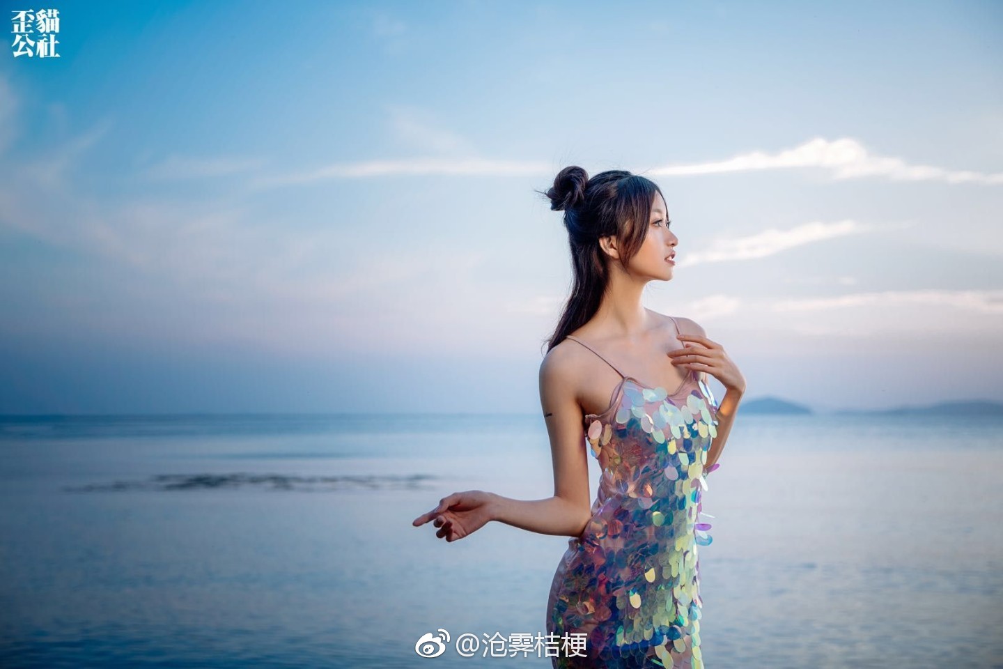 沧霁桔梗微博图 Daily 1 沧霁桔梗微博图 Daily 1