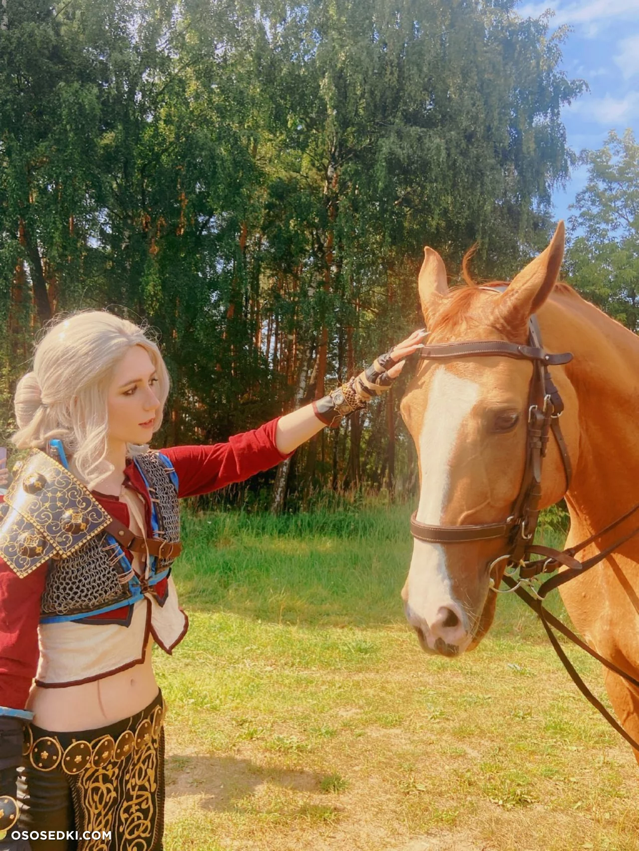 Ciri (MikAllen) Ciri (MikAllen)