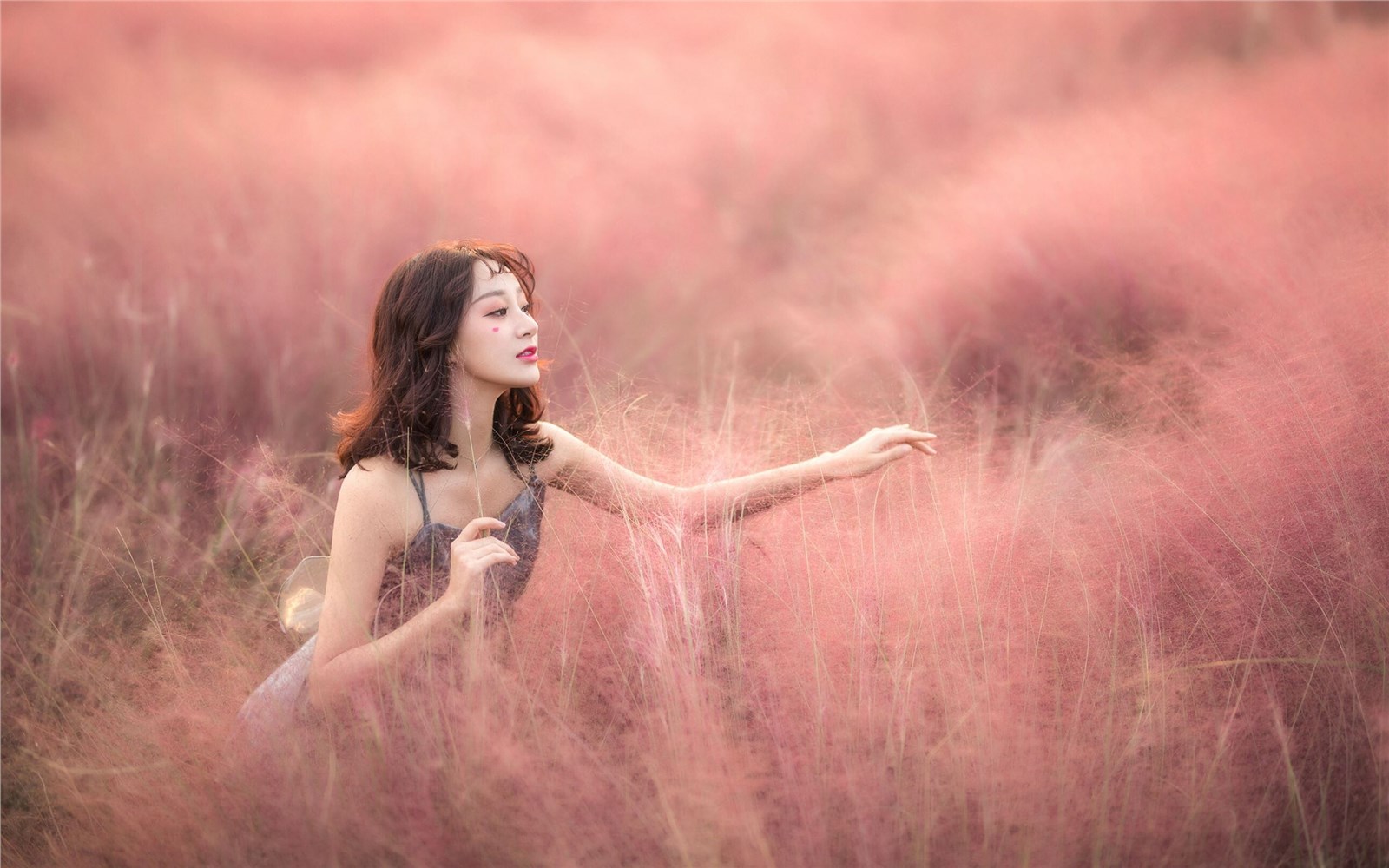 Beautiful flower field of pure beauty photo Beautiful flower field of pure beauty photo