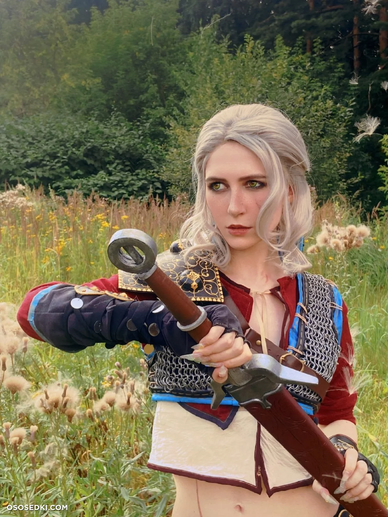 Ciri (MikAllen) Ciri (MikAllen)