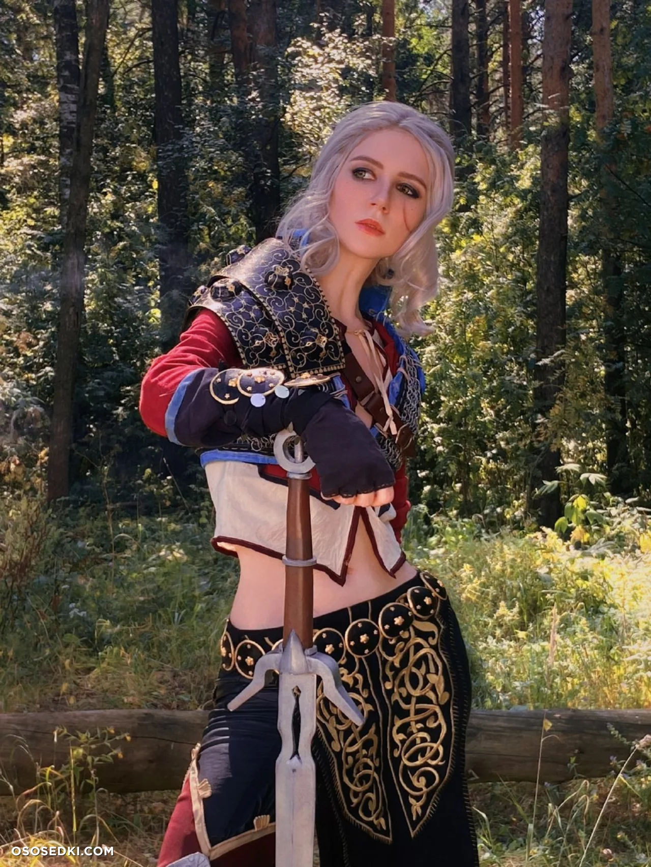 Ciri (MikAllen) Ciri (MikAllen)