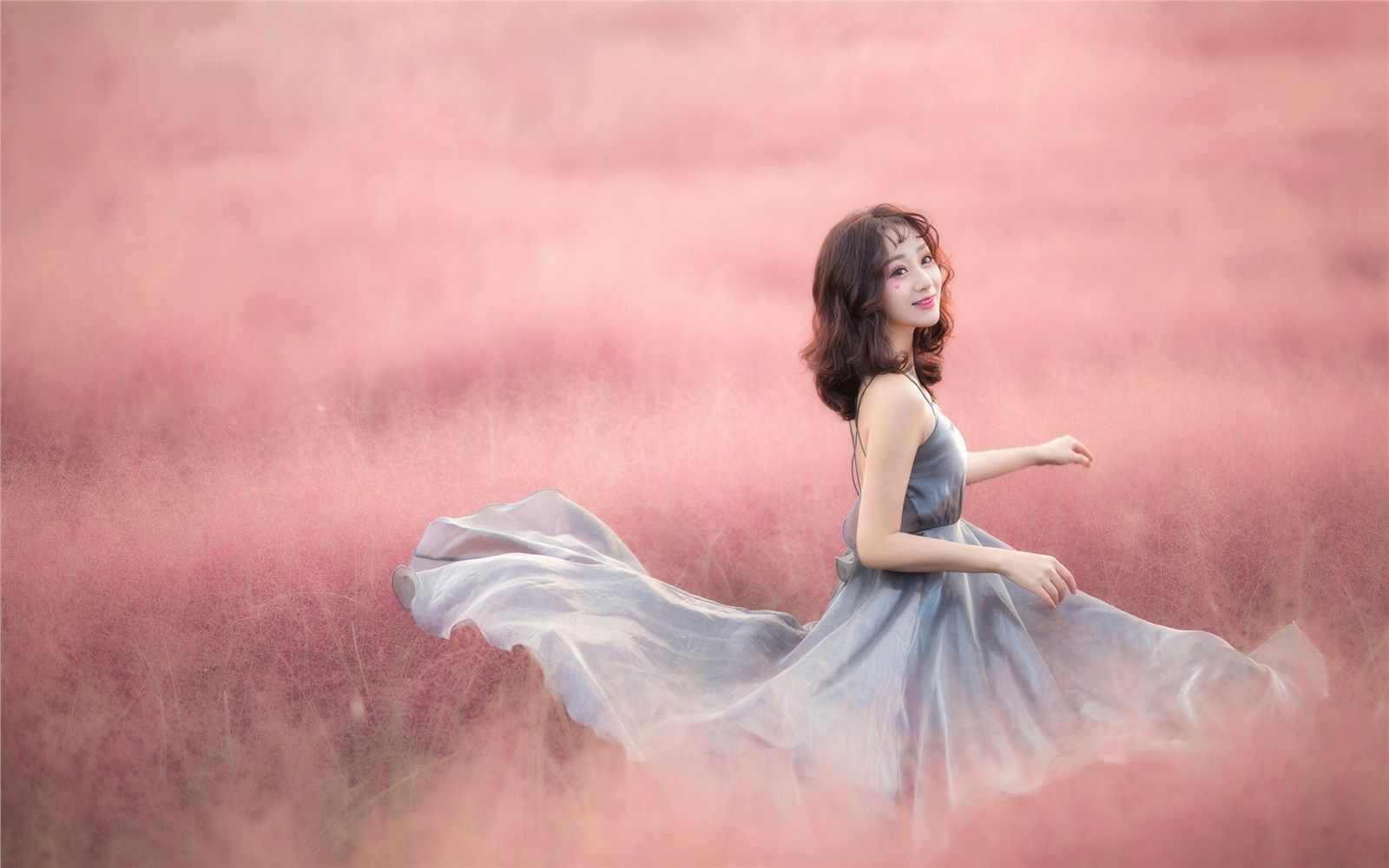 Beautiful flower field of pure beauty photo Beautiful flower field of pure beauty photo