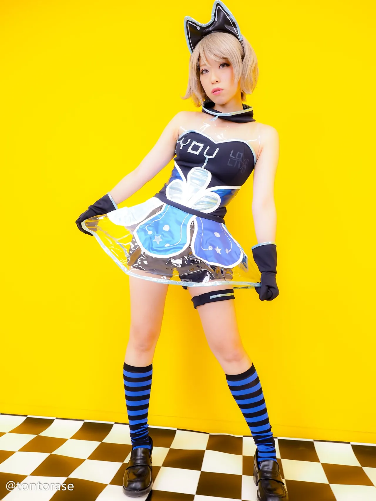 仔寅/kotora - You Watanabe 仔寅/kotora - You Watanabe
