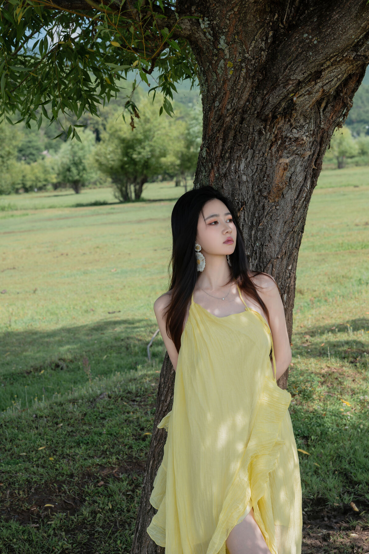 Coser@ Nnian - The Green Field (84P) Coser@ Nnian - The Green Field (84P)