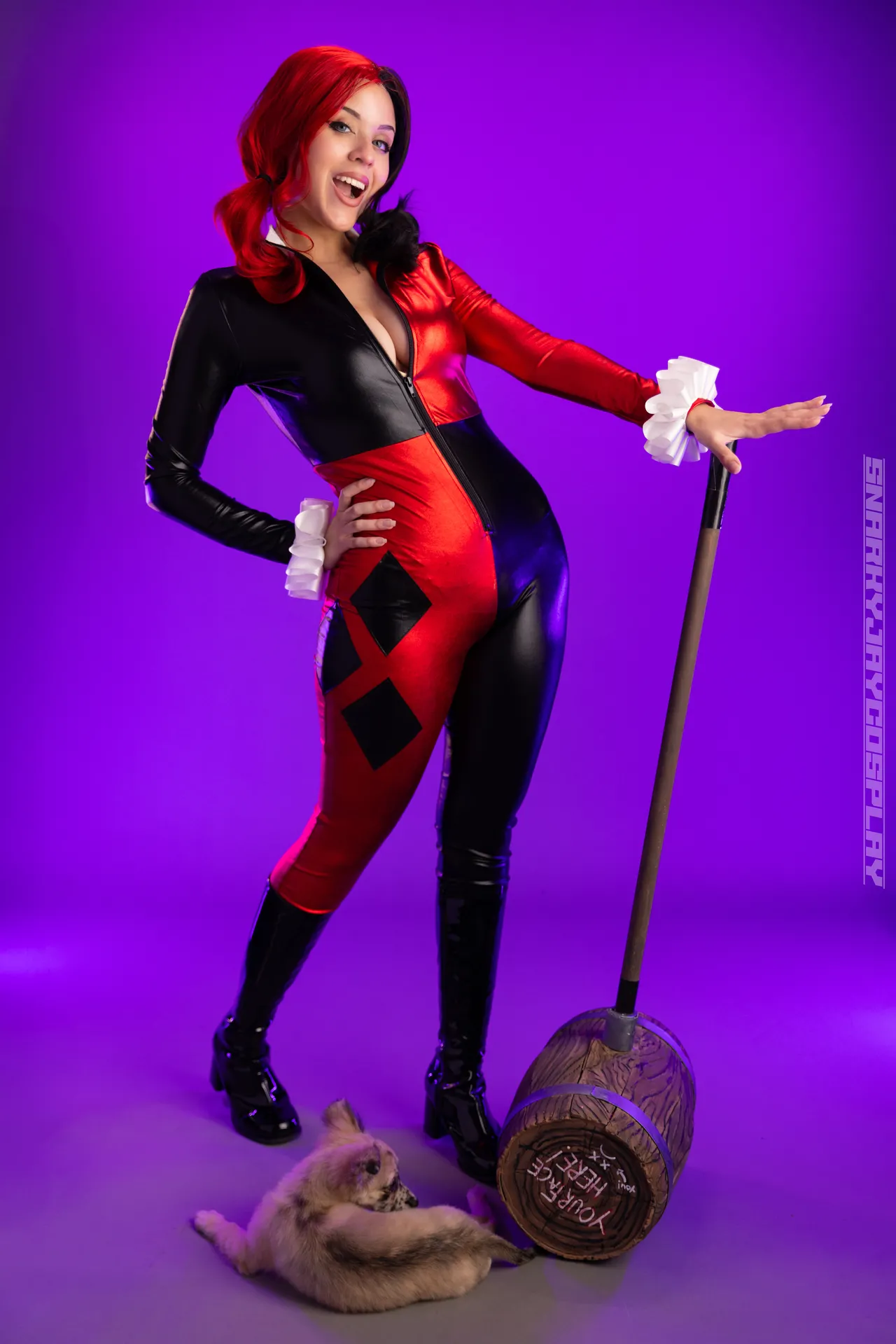 Snarky Jay – Classic Harley Quinn Snarky Jay – Classic Harley Quinn