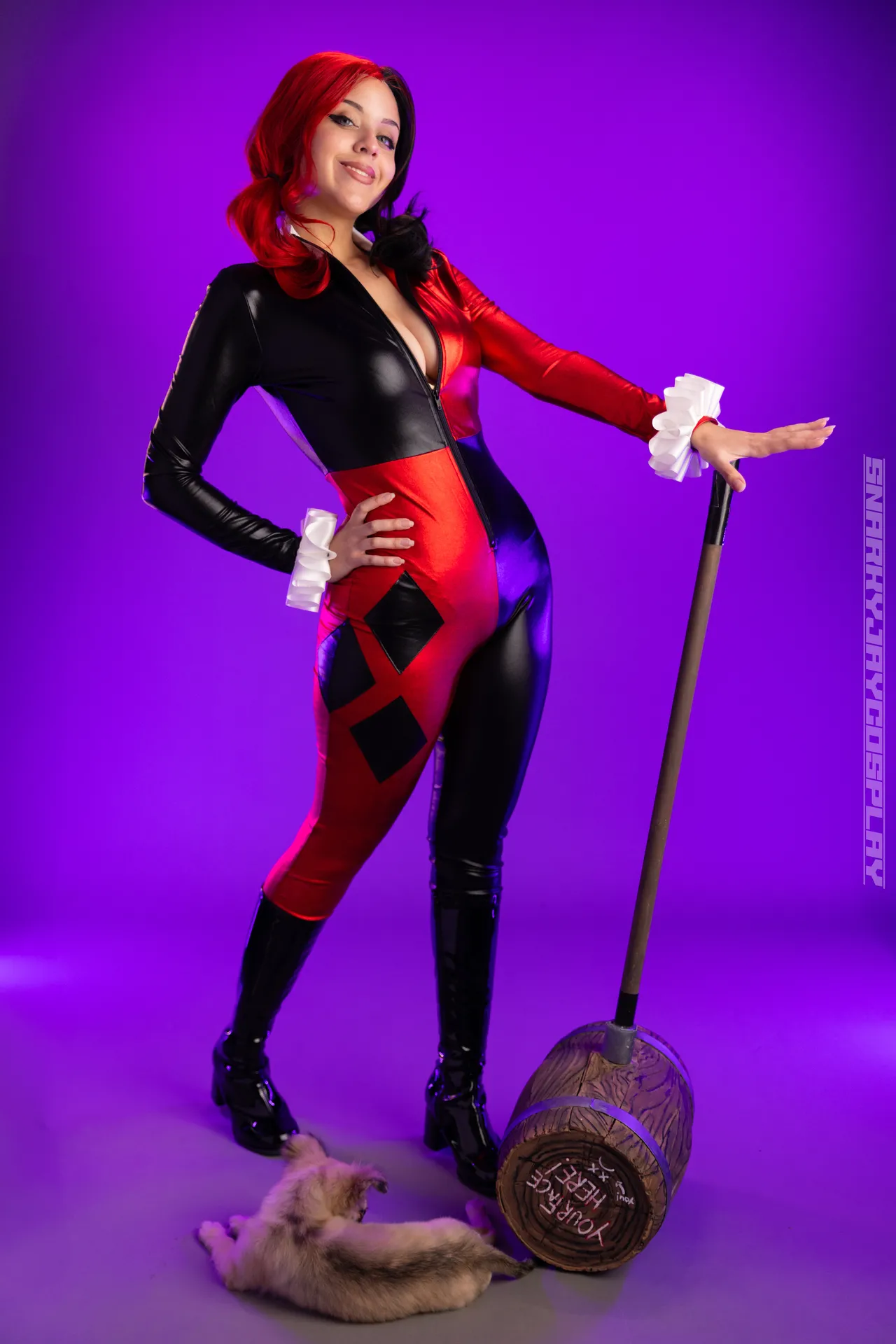 Snarky Jay – Classic Harley Quinn Snarky Jay – Classic Harley Quinn