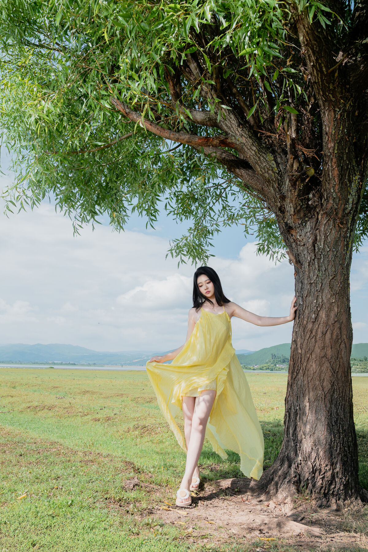 Coser@ Nnian - The Green Field (84P) Coser@ Nnian - The Green Field (84P)