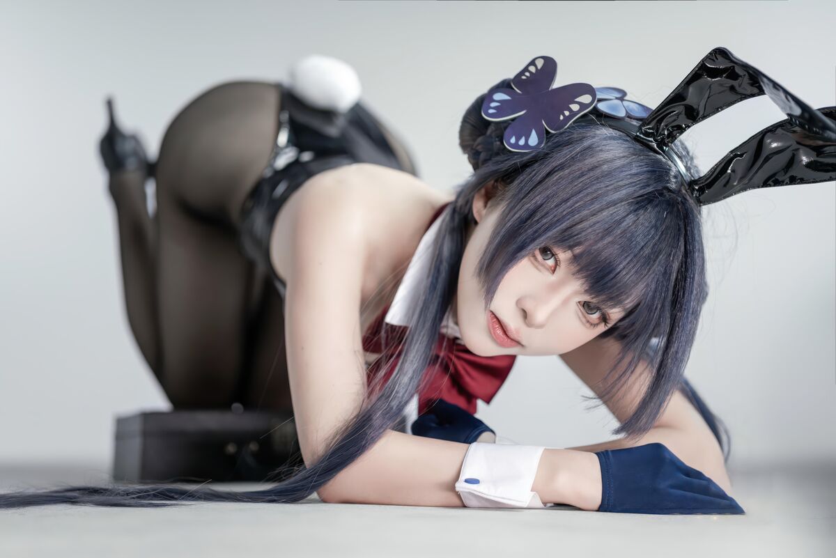 Coser@ Vector Fish - Hisaki Bunny Girl (29P) Coser@ Vector Fish - Hisaki Bunny Girl (29P)