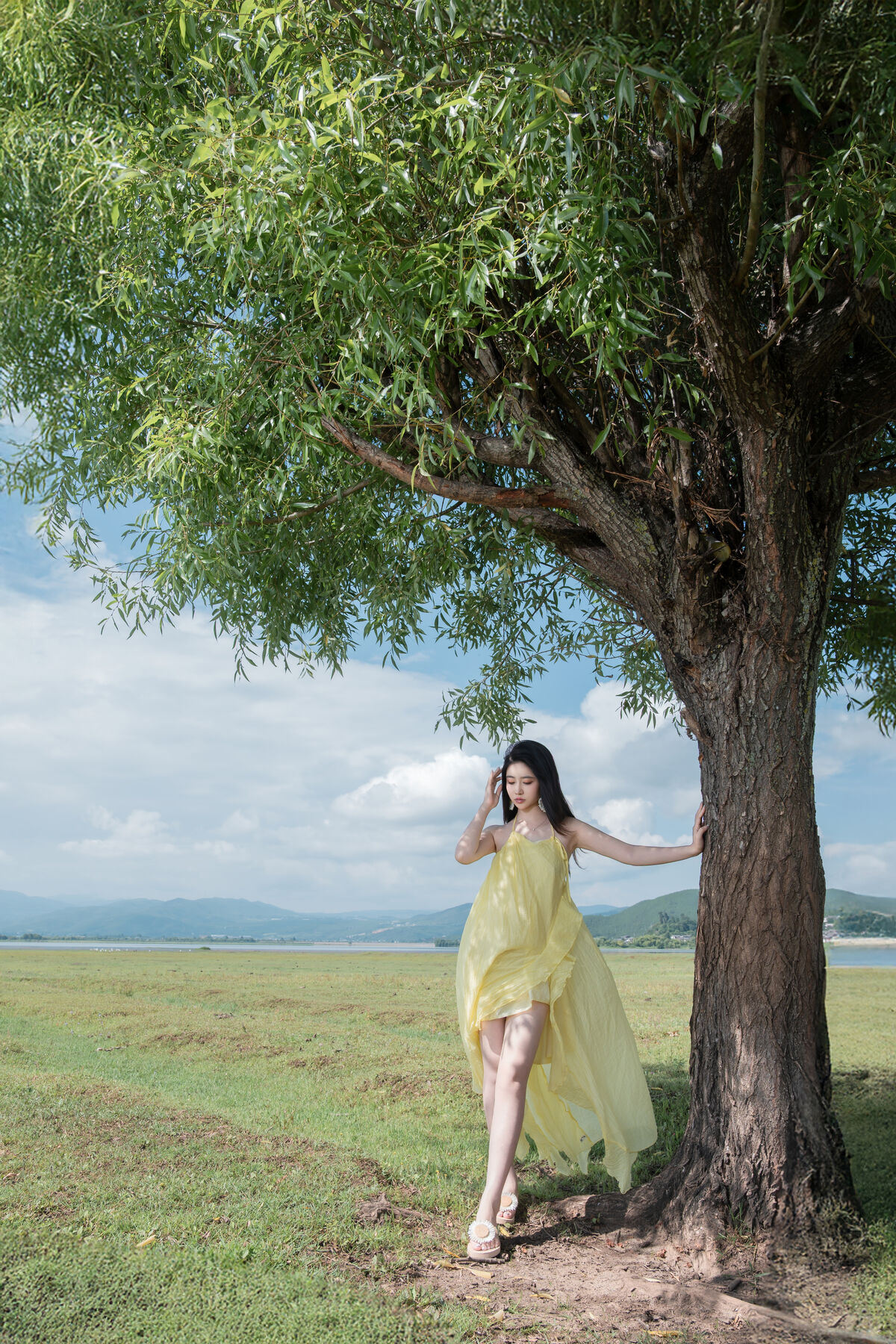 Coser@ Nnian - The Green Field (84P) Coser@ Nnian - The Green Field (84P)