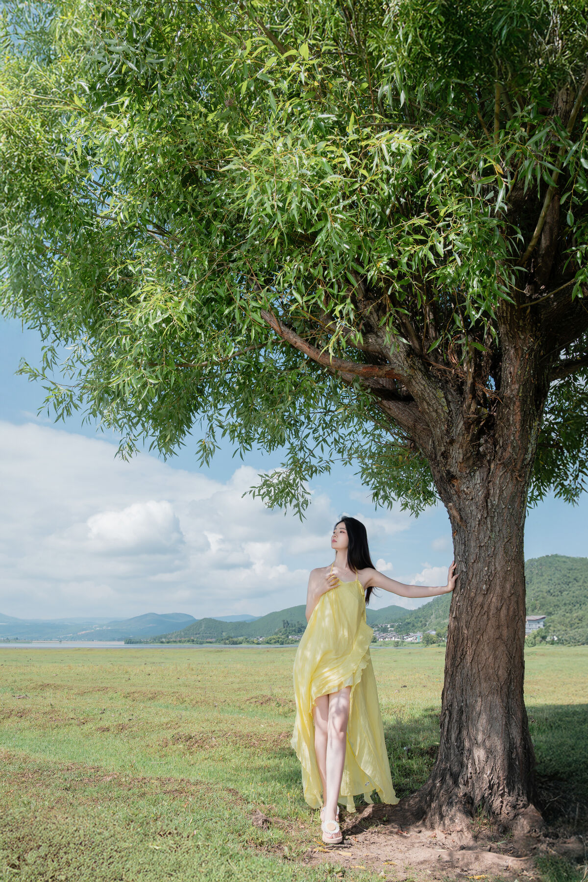 Coser@ Nnian - The Green Field (84P) Coser@ Nnian - The Green Field (84P)