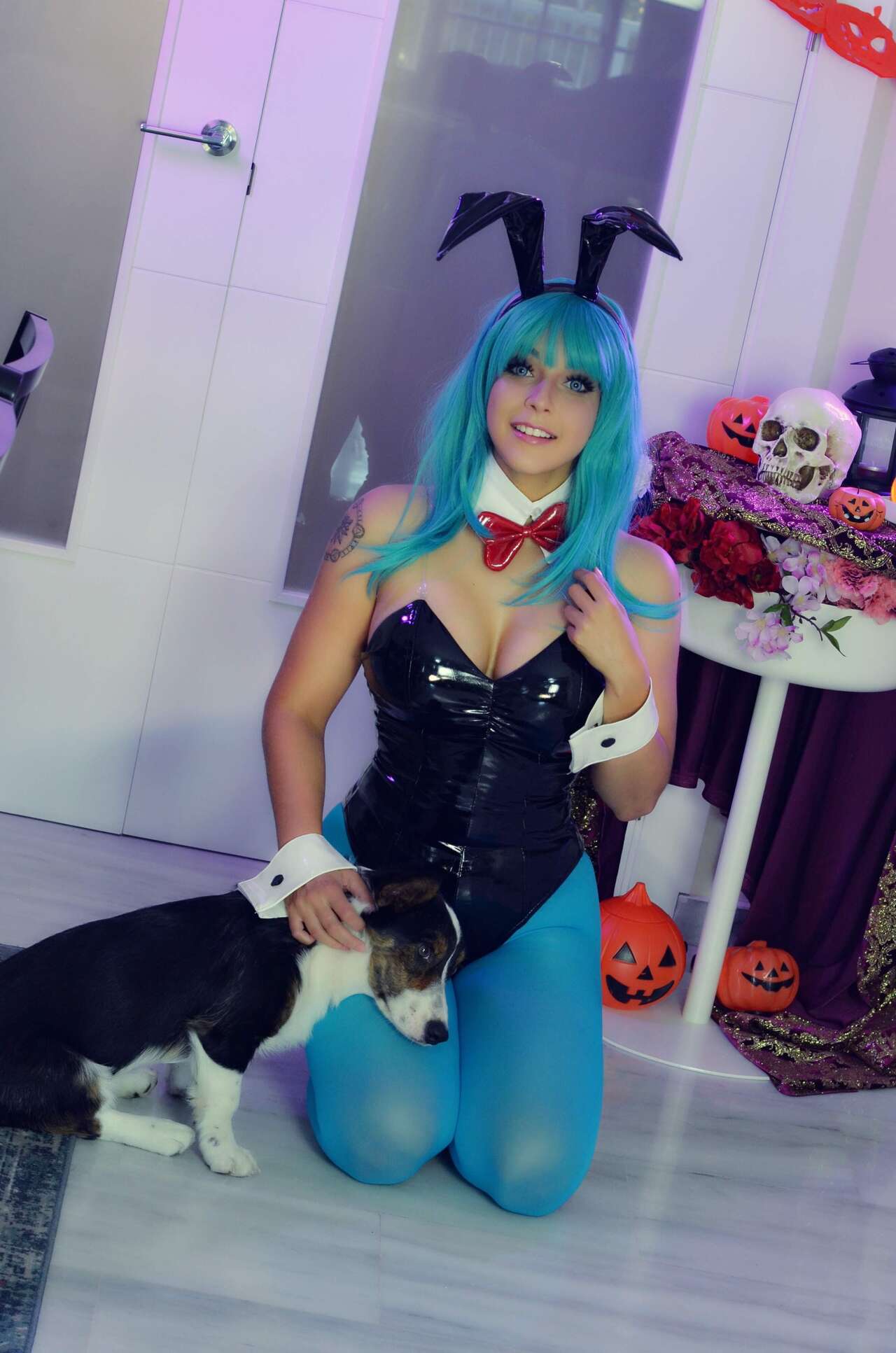 Shermie - Bunny Bulma Shermie - Bunny Bulma