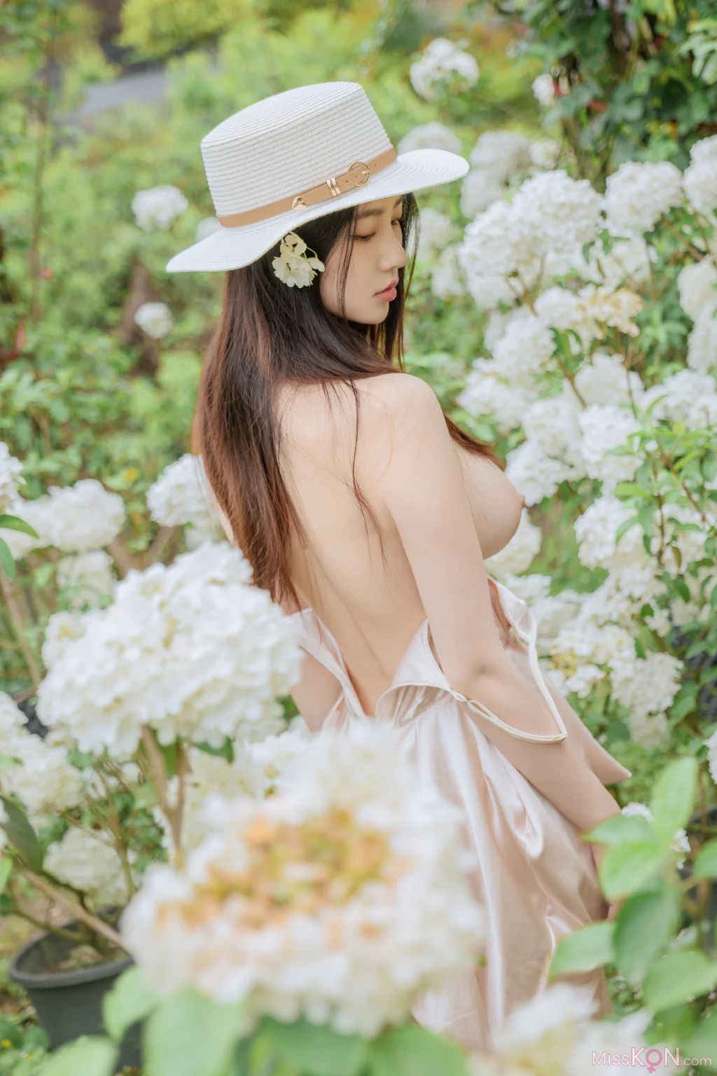 Coser@ Nnian: Wood Hydrangea (82 photos) Coser@ Nnian: Wood Hydrangea (82 photos)