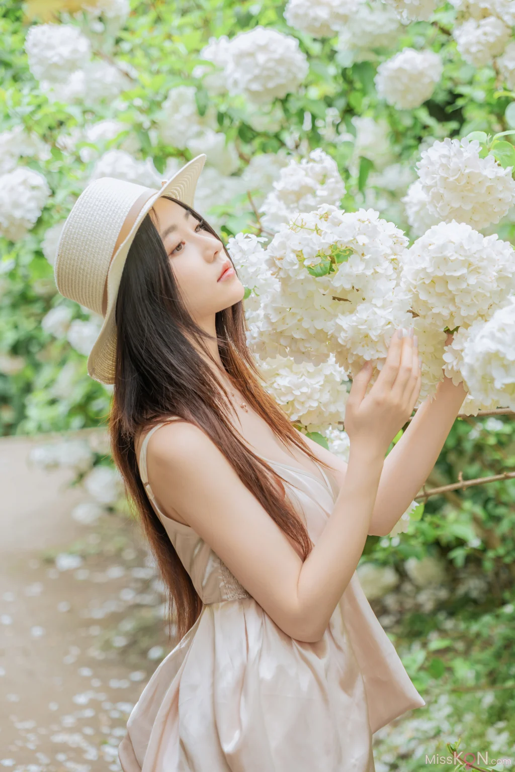 Coser@ Nnian: Wood Hydrangea (82 photos) Coser@ Nnian: Wood Hydrangea (82 photos)