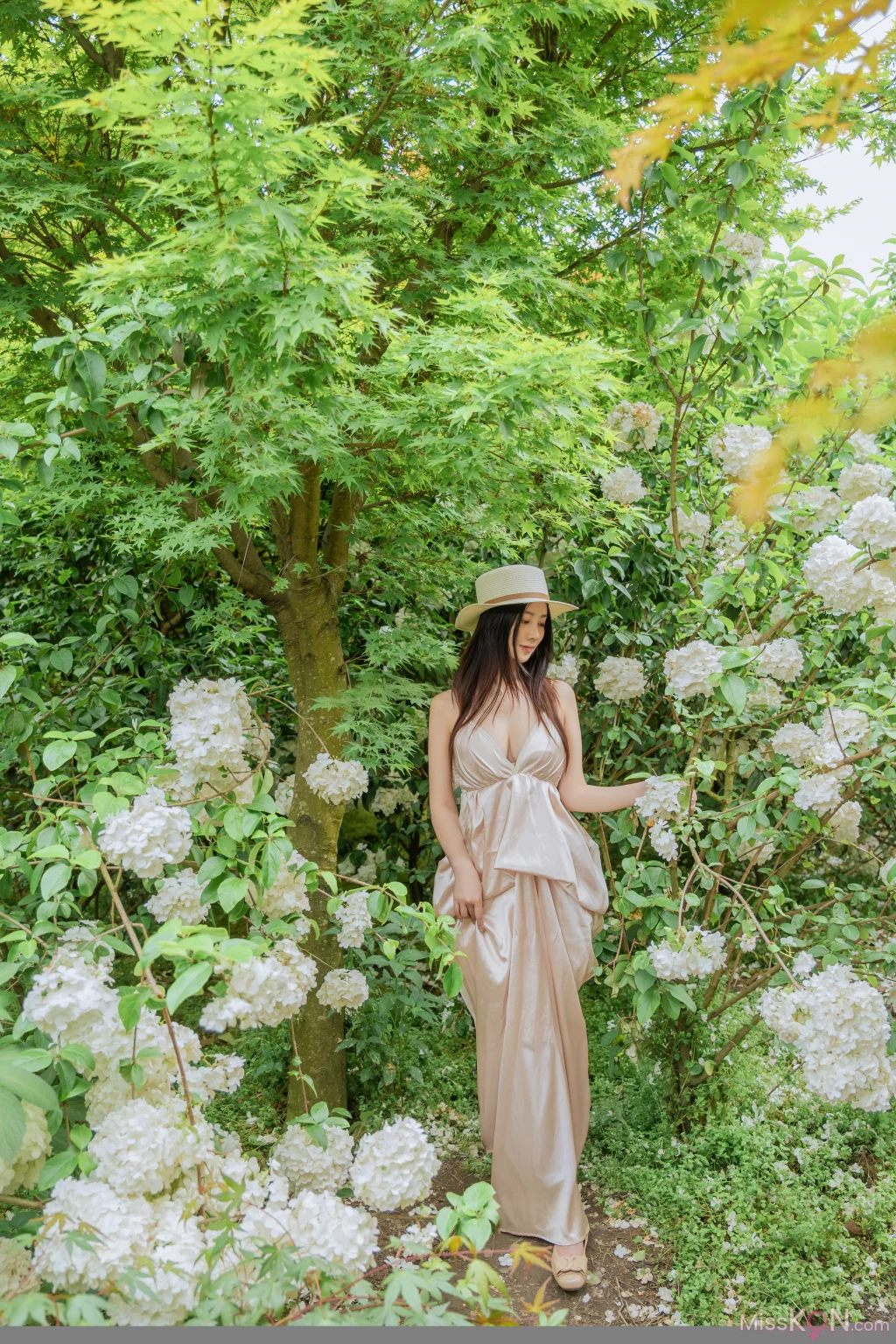 Coser@ Nnian: Wood Hydrangea (82 photos) Coser@ Nnian: Wood Hydrangea (82 photos)