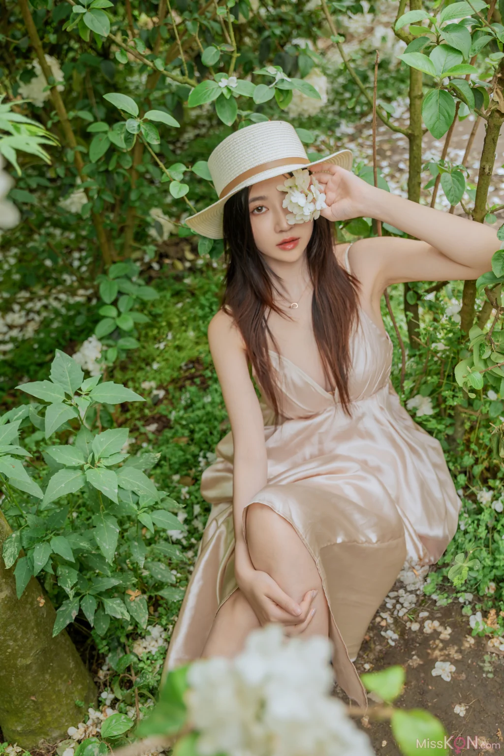 Coser@ Nnian: Wood Hydrangea (82 photos) Coser@ Nnian: Wood Hydrangea (82 photos)