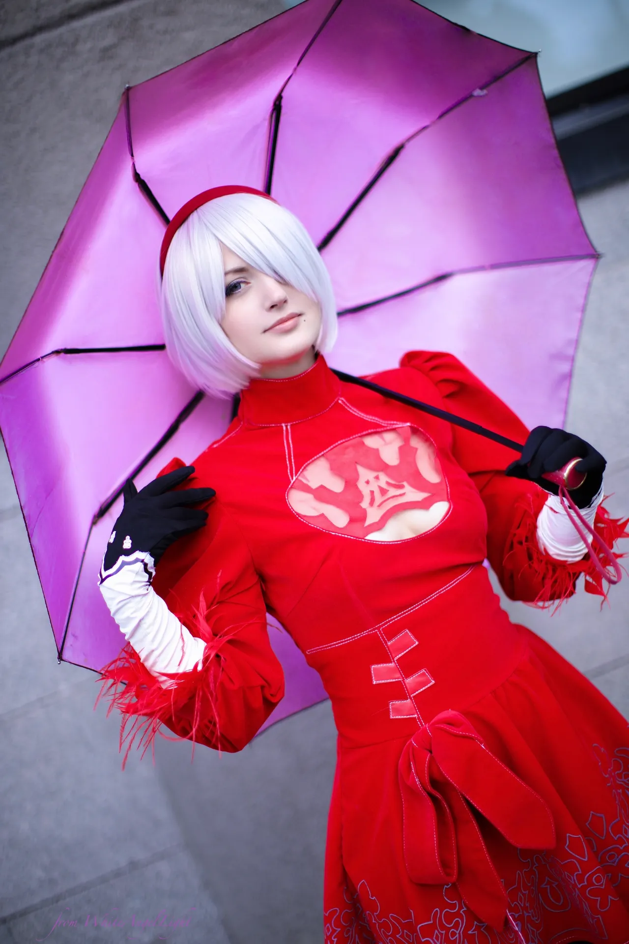 Grey Irbis | 2B Grey Irbis | 2B