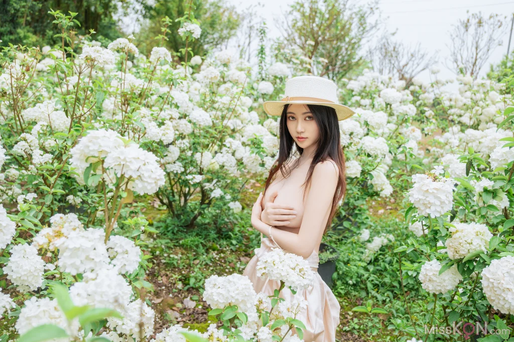 Coser@ Nnian: Wood Hydrangea (82 photos) Coser@ Nnian: Wood Hydrangea (82 photos)