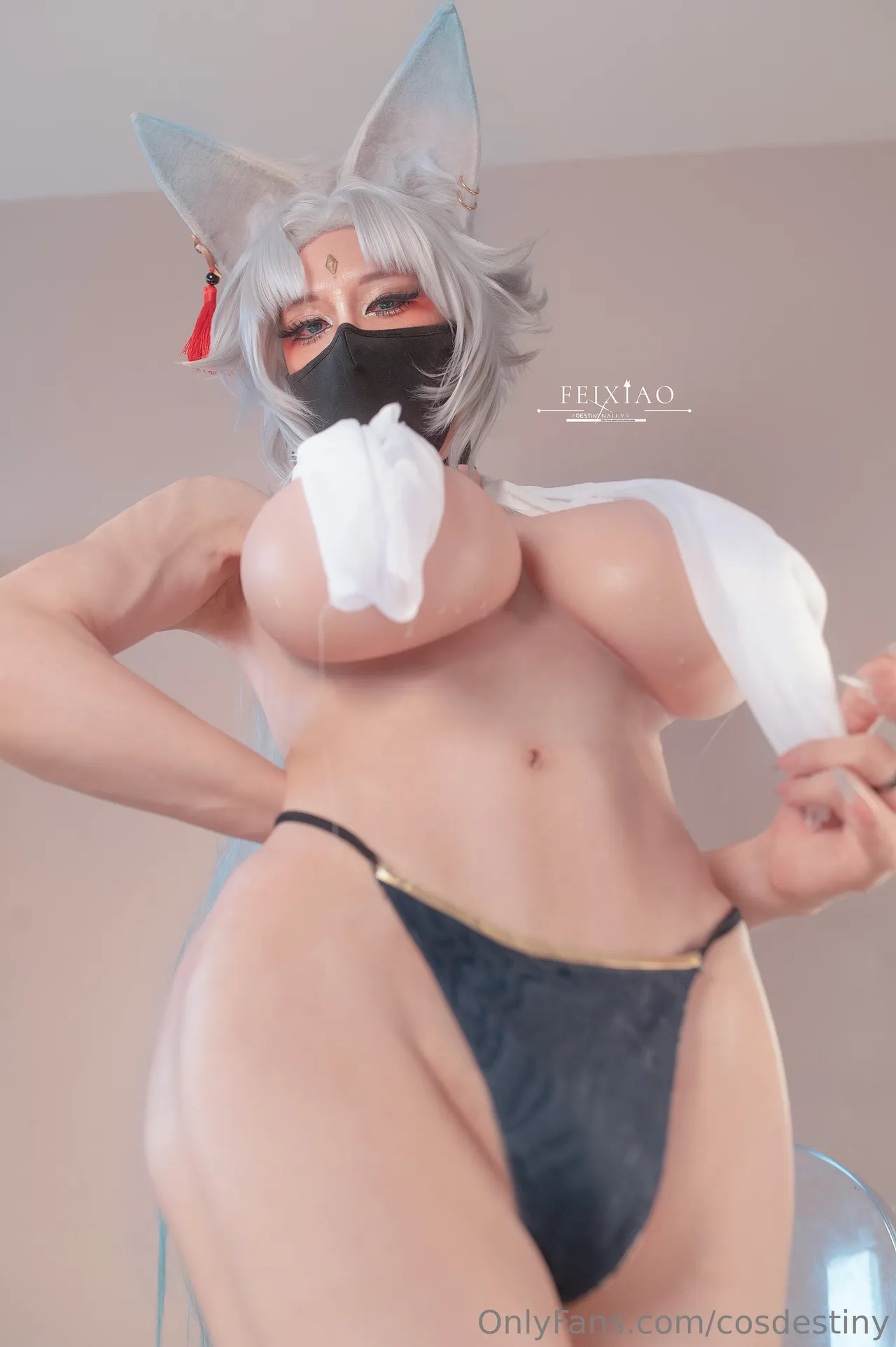 Destiny - Feixiao Destiny - Feixiao