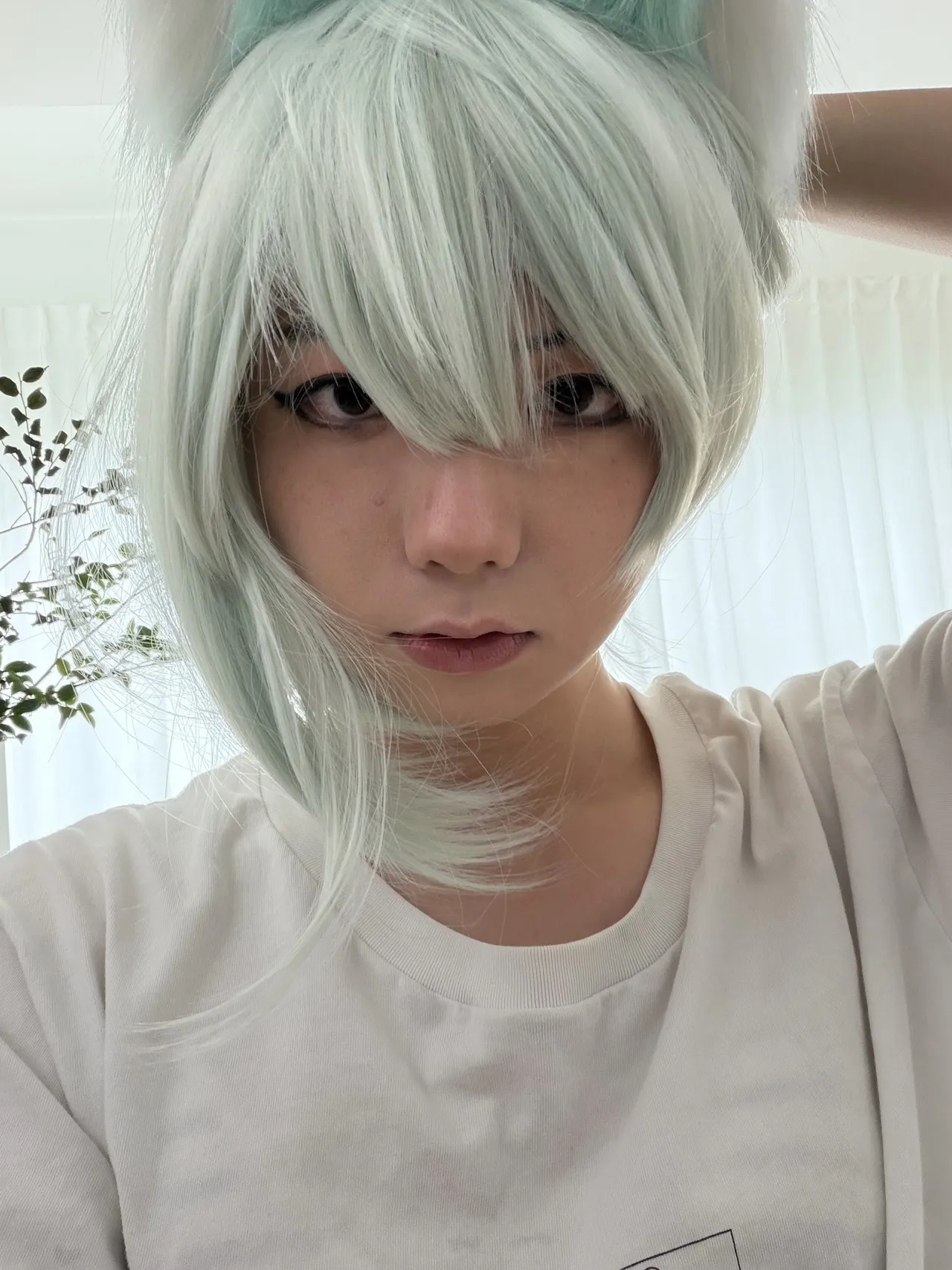 Green茶茶酱 - Yaniko Green茶茶酱 - Yaniko